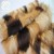 Import Luxury Custom Multi Color Long Pile Faux Fur Coat Fabric from China