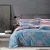 Import Luxury New Style 100% Cotton Bed Linen  Duvet Cover 4pcs Bedding Sets Bed Sheet from China