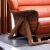 luxury Solid wooden Zebra Genuine Leather sofa design set home hotel living room furniture