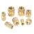 Import M2/M3/M4/M5/M6 Female Insert Nuts Thread Knurled Nuts Brass Threaded Insert Brass Embedment Nuts from China
