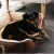 Import Machine Washable Ultra Soft Pet Sofa Rectangle Pet Bed with different size from China