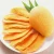 Import Mango Soft dried mango with best price from China