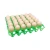 Import Manufacturer Well Made Egg Trays Cheap Disposable Clear Plastic Egg Trays from China