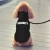 Import Manufacturer wholesale OEM black logo custom blank designer pet accessories dog hoodie from China