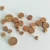Manufacturers specializing in the production of clarinet cork pad clarinet accessories