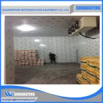 Meat Blast Freezer, Cold Storage, Cold room