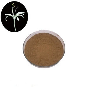Medicine grade chlorogenic acid honeysuckle flower extract