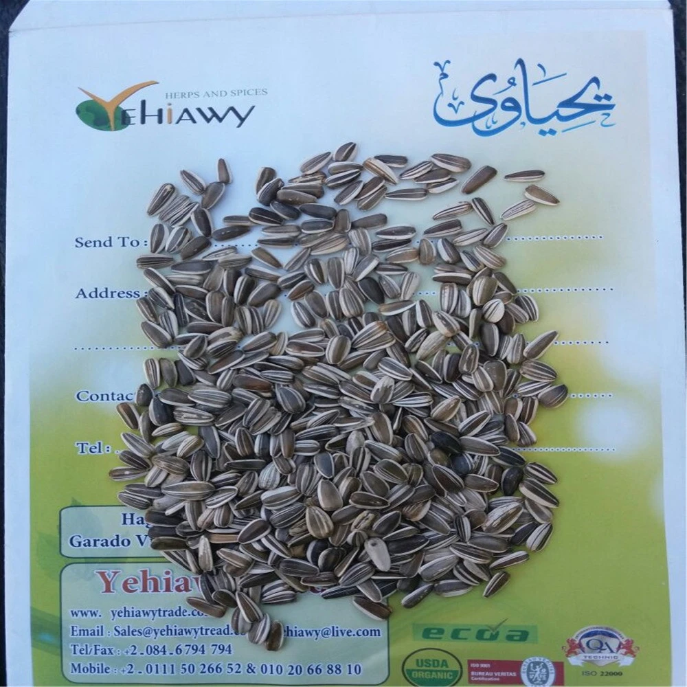 Medium size seeds sunflower free of alive and dead insects wholesale