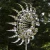 Import metal wind spinner kinetic parts sculpture for decoration from China