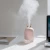 Import Mini Air Humidifier Oil Diffuser Aromatherapy Household Ultrasonic Humidifier from China