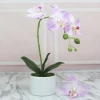 Mini bonsai artificial flower silk butterfly orchid bonsai for home decoration