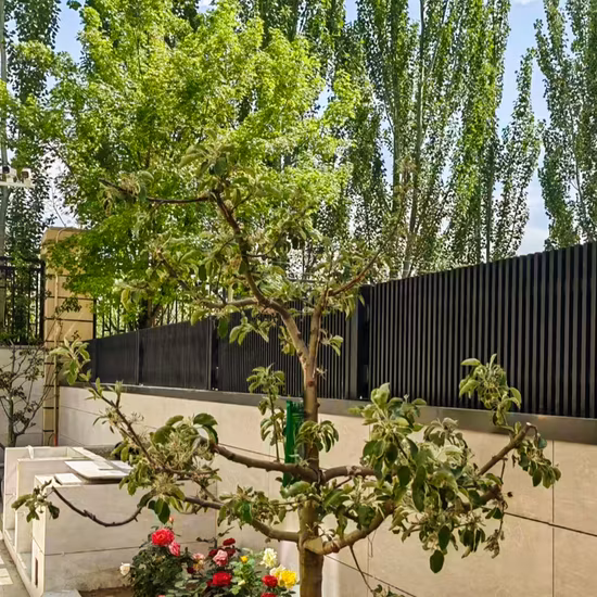Modern Aluminum Balcony Fence and Staircase Guardrail for Garden