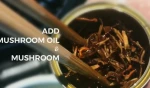 Nature Flavor Seasoning Oil with Mushroom Chinese Traditional Cooking Oil Canned Packed ISO HACCP