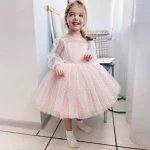 New design childrens wedding dress polka dot lace long-sleeved performance birthday tutu skirt girl dress