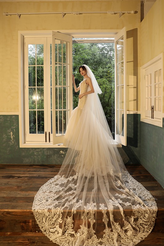 New Luxury Elegant Good Quality Lace Edge bridal wedding veils