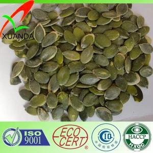 New type pumpkin seeds green kernels GWS A