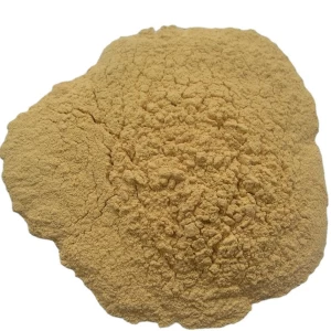 Normal Pure White Fresh Ginger Powder With High Quality