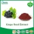 Import Organic Grape Seed Extract,Natural Grape Seed Extract Powder from China