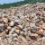 Other Non-Metallic Minerals High Quality natural raw material Fluorspar lump, foundry sand, metallurgy Fluorspar CaF2 60%min