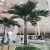 Import Outdoor Palm Tree Big Coconut Artificial Coconut Tree from China