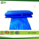 Outdoor Tent Cover, birthday party tarpaulin design