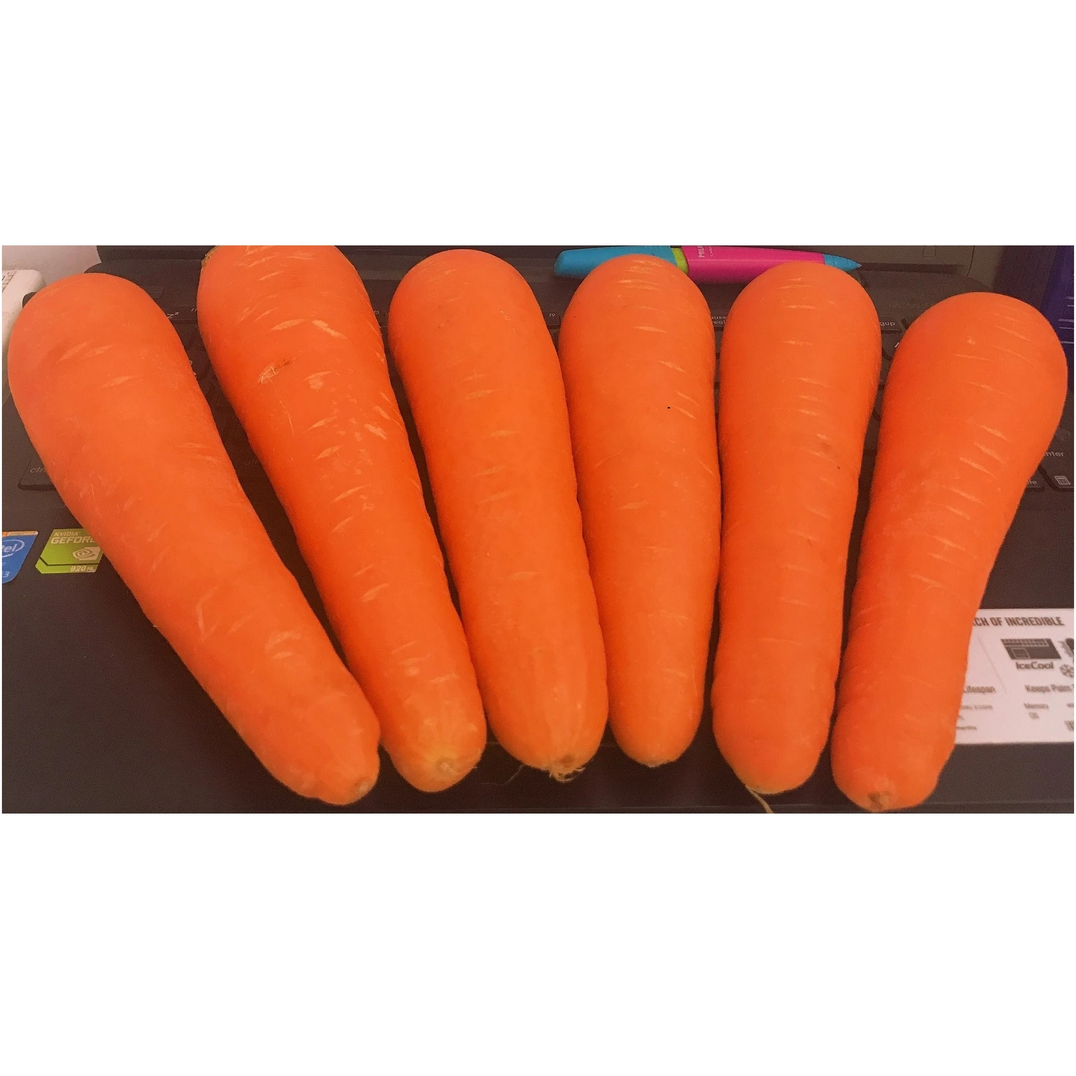 Packed Carrots With High Quality And Best Selling Price From Trung My Company Vietnam