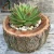 Import Personalized Original Natural Wood Flower Pot Planter Log Box from China