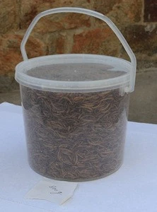 Pet Food ,Microwave Dried Mealworms