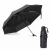 Import pocket size umbrella from China