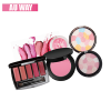 Powder makeup factory container blush palette