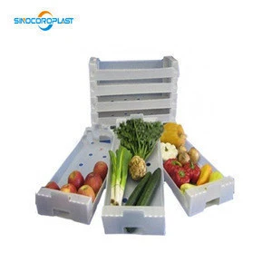 PP Packing Box For Vegetable