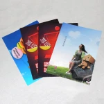 PP/pvc book cover