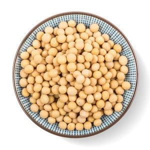 Premium Soya Beans for Soybean Importer