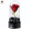 preserved rose with rotating music box as Christmas, valentine&#x27;s day, mother&#x27;s day gifts