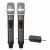 Import Professional hot-selling wireless handheld dual-channel microphone from China