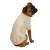 Import Puppy Dog Outfits Apparel ,Dog Clothes Pet Clothing Wholesale from China