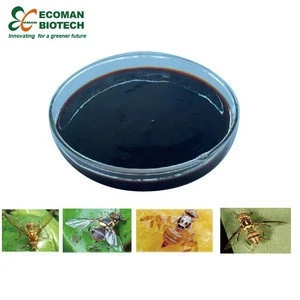 pure hydrolyzed protein bait without chemicals semi-finished GFFB for academic fruit fly raising and control experiments