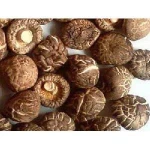 Pure natural Shitake Mushroom Powder / Shitake Mushroom Extract / Polysaccharides >15%~50%