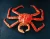 Import Quality Snow Crab Antarctica / Deep Sea Crab/ Baby King Crab Wholesale from India