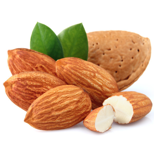 Buy Raw Sweet Almond Without Shell Handpicked Origin Wholesale Bulk ...