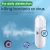 Rechargeable ionic neno facial steamer mini alcohol humidifier for disinfection and moisture