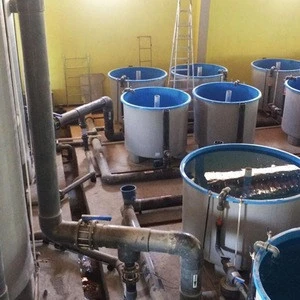 Recirculating Aquaculture System - Aquaculture Tanks