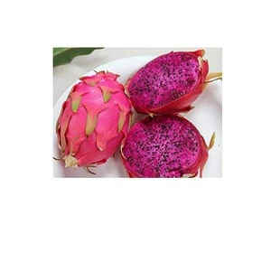 Red Fresh Dragon Fruit From Farm Available For Sale