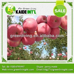 Red Fuji apple for Indian market(72#,80#,88#,100#,113#,125#,138#,150#,163#,175#,198#)