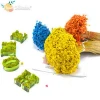 Resin Jewelry Materials Dried Flowers Brazil Star for Resin silicone mold Jewelry Making
