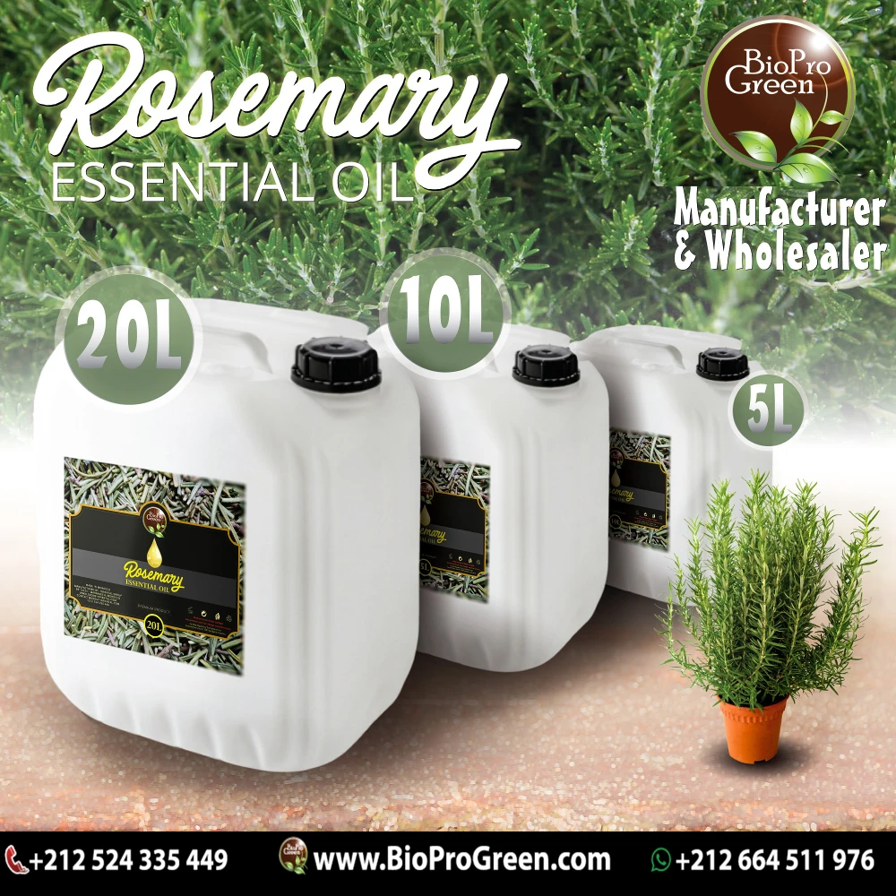 Rosemary Essential Oil 100% Natural Pure Best Price Company