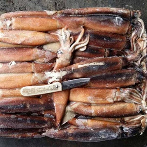Seafood High Quality Frozen Dried Giant Squid