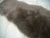 Import Sheepskin rug carpet factory Faux fur 2p sheepskin shaped long hair decorative carpet from China