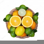 South Africa Fresh Citrus Fruit