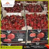 Spanish Fresh Skeena Mountain Cherry Fruits 2 Kg/Pack Wholesale | Nino Jesus